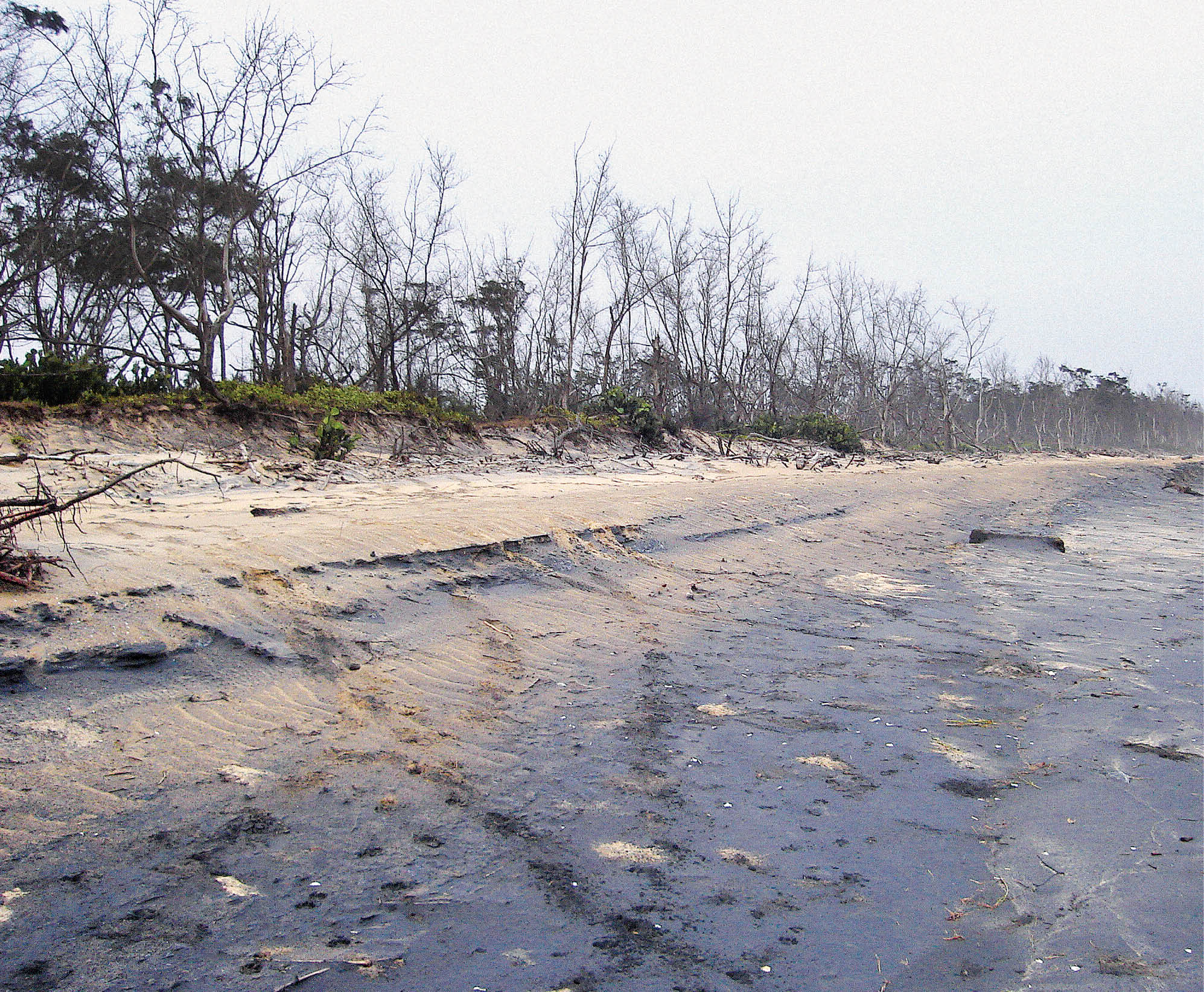 Oil Spill Management: In Marine Environment